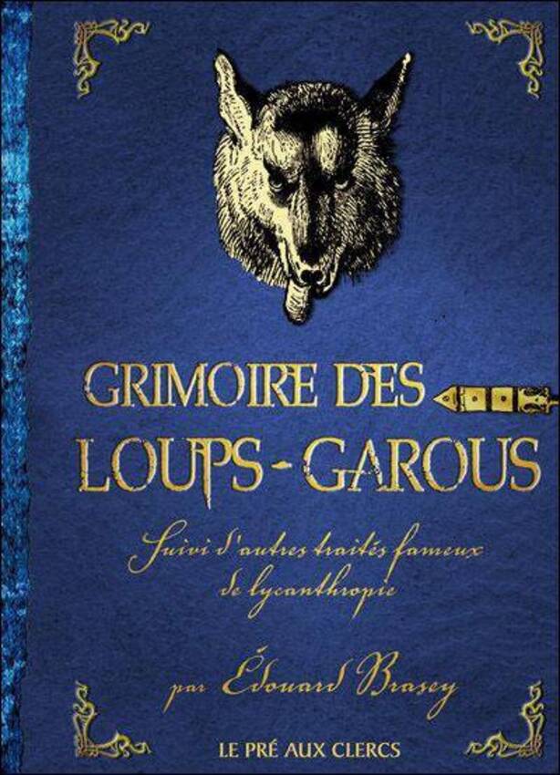 Livre le grimoire de l'apprentie sorcière