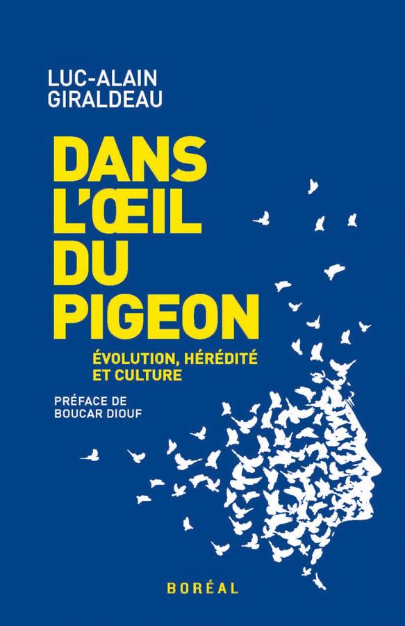 Dans L A Il Du Pigeon Par Luc Alain Giraldeau Boucar Diouf Coop Uqam