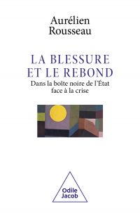 La Blessure et le Rebond