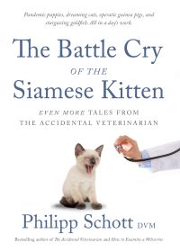 The Battle Cry of the Siamese Kitten