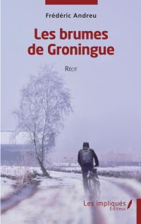 Les brumes de Groningue