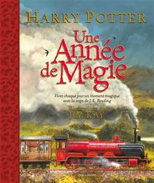 Harry Potter : une année de magie