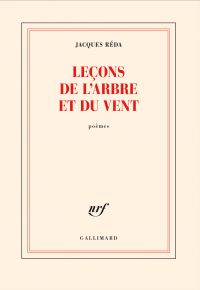 Leçons de l'arbre et du vent