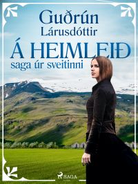 ?? heimleið: saga úr sveitinni