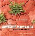 Workshop Marrakech : la palmeraie en paysages