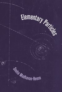 Elementary Particles