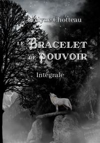 Le bracelet de pouvoir