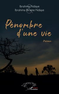 Pénombre d’une vie