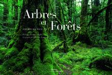 Arbres et forets