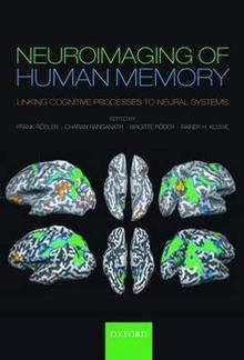 Neuroimaging in Human Memory : Linking Cognitive Processes to Neu