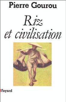 Riz et civilisation