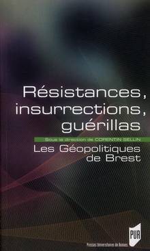 Résistances, insurrections, guérillas : Les géopolitiques de Bres