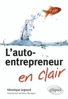 Auto-entrepreneur, L'