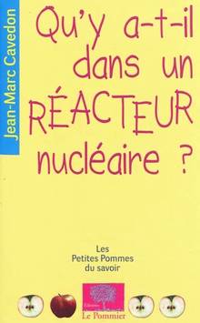 Qu'y a-t-il dans un réacteur nucléaire ? : Nouvelle édition