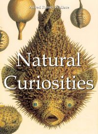 Natural Curiosities