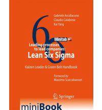 Leading Processes to Lead Companies : Lean Six Sigma : Kaizen Lea