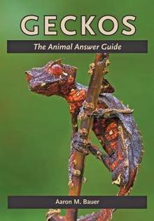 Geckos : The Animal Answer Guide