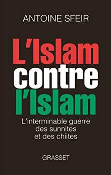 Islam contre l'Islam : L'interminable guerre des sunnites et des