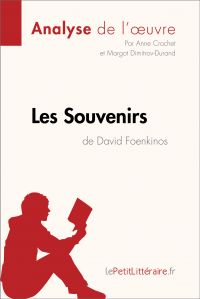 Les Souvenirs de David Foenkinos (Analyse de l'oeuvre)