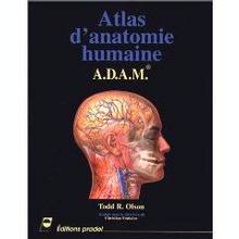 adam, atlas d'anatomie humaine