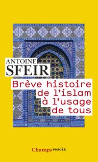 Brève histoire de l'islam à l'usage de tous