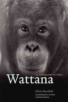 Wattana - An Orangutan in Paris