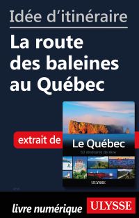 Idée d'itinéraire - La route des baleines au Québec