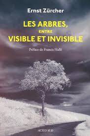 Les arbres, entre visible et invisible