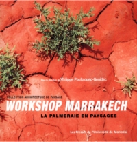 Workshop Marrakech : la palmeraie en paysages