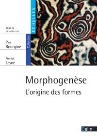 Morphogenèse. L'origine des formes