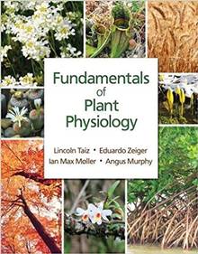 Fundamentals of Plant Physiology 