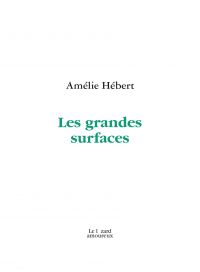 Les grandes surfaces