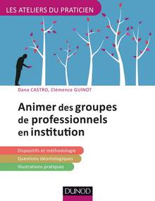 Animer des groupes professionnels en institution : aspects théoriques et méthodologiques