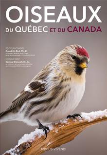 Oiseaux du Québec et du Canada