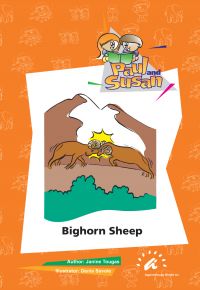 Bighorn Sheep