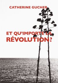 Et qu'importe la révolution ?