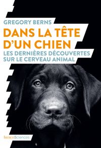 Dans la tête d'un chien