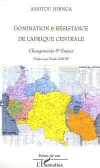 Domination et résistance de l'afrique c