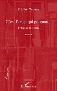 C'est l'ange qui poignarde - scènes de la vie gay - roman