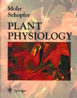 Plant physiology