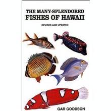 The many splendored fishes of Hawaii revised and updated