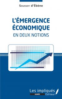 L'émergence économique en deux notions