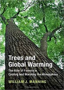 Trees and Global Warming: the Role of Forests in Cooling and Warming