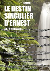 Le destin singulier d'Ernest