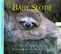 Baby Sloth