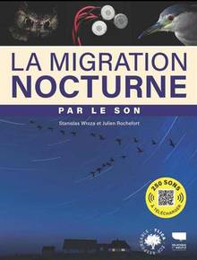 Migration nocturne par le son, La