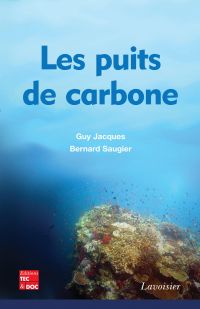 Les puits de carbone