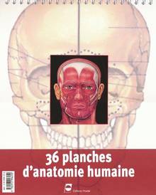 36 planches d'anatomie humaine