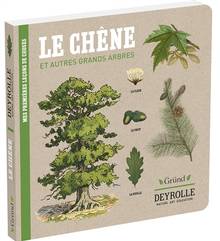 Mes premières leçons de choses : Le chêne : et autres grands arbres