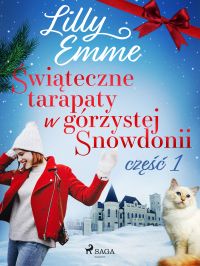 ?wi?teczne tarapaty w górzystej Snowdonii - cz??? 1